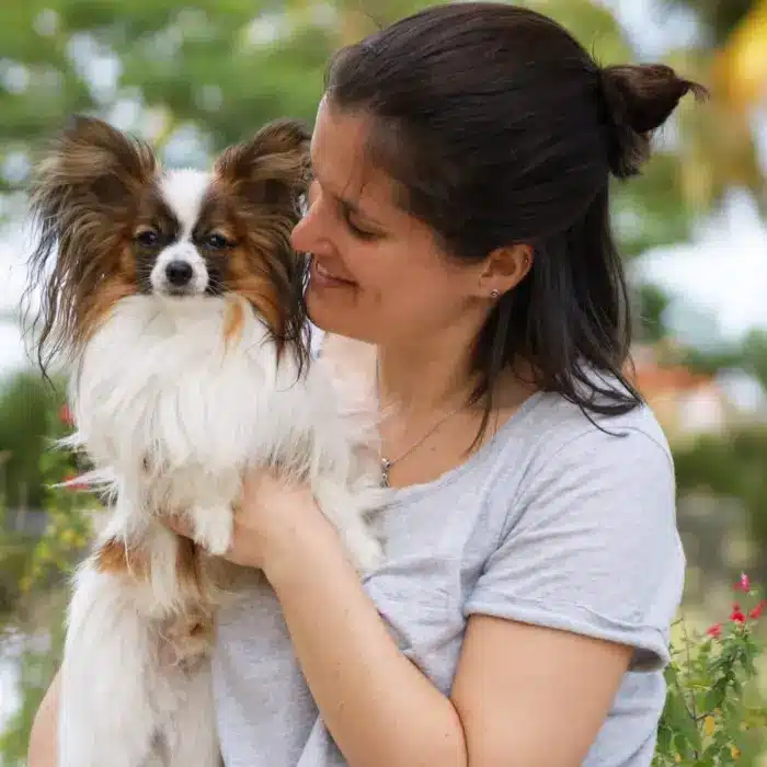 adiestramiento canino en gijon
